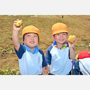 じゃがいも掘り