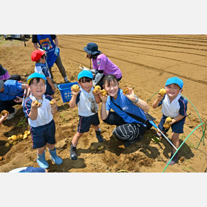 じゃがいも掘り