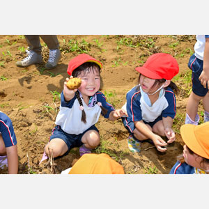 じゃがいも掘り