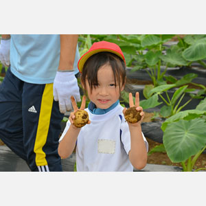 じゃがいも掘り